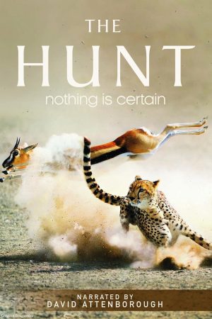 The Hunt